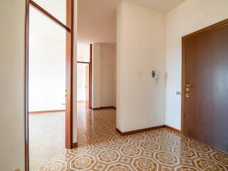 Ingresso