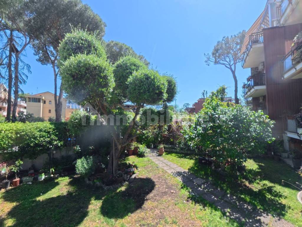 Giardino