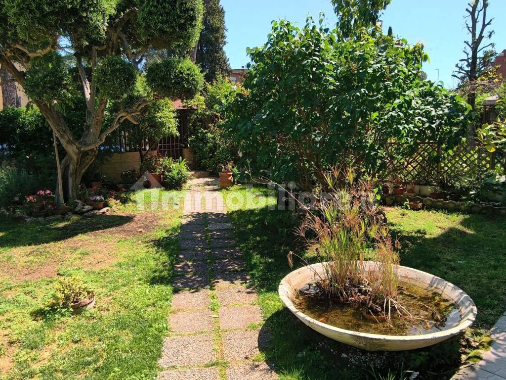 Giardino