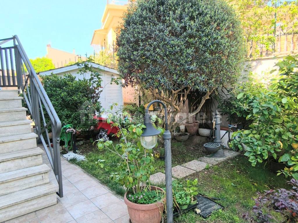 Giardino