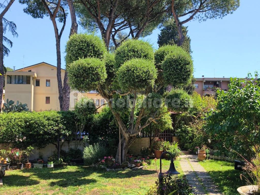 Giardino