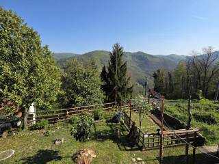 Vista