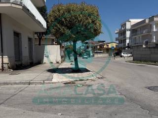 Zona
