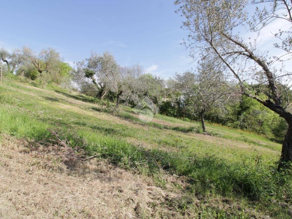 Terreno