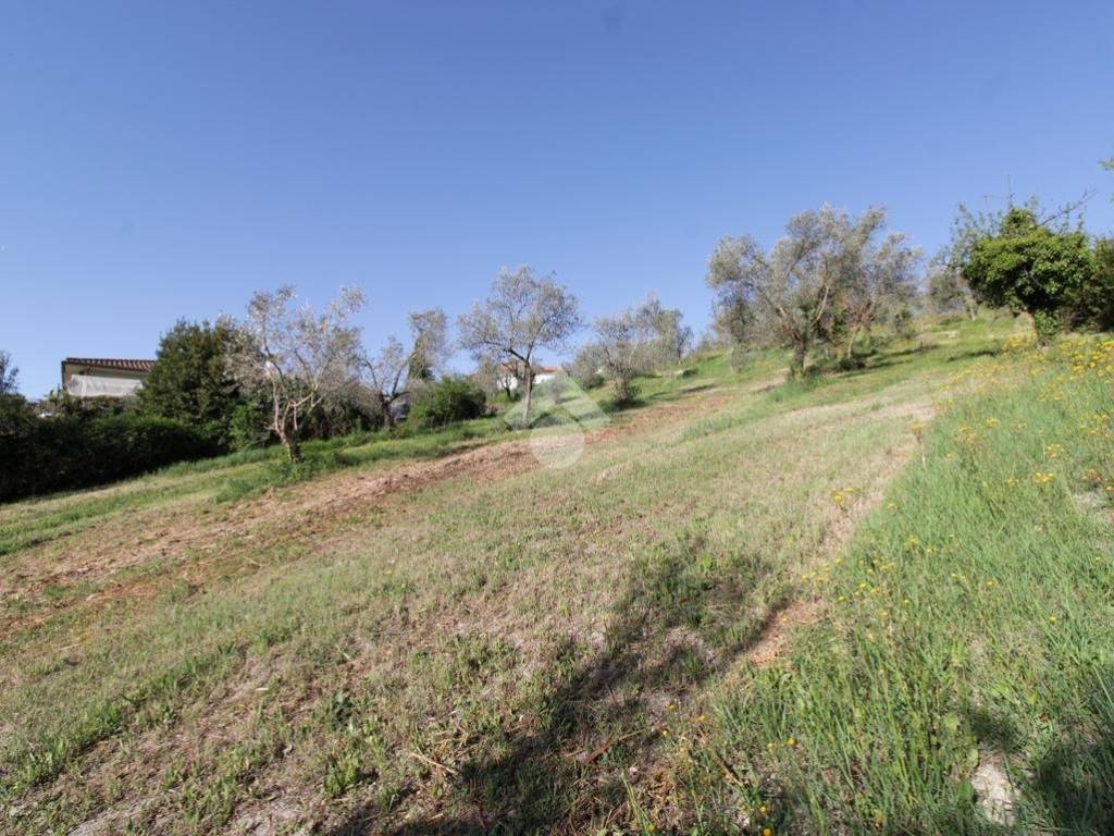 Terreno