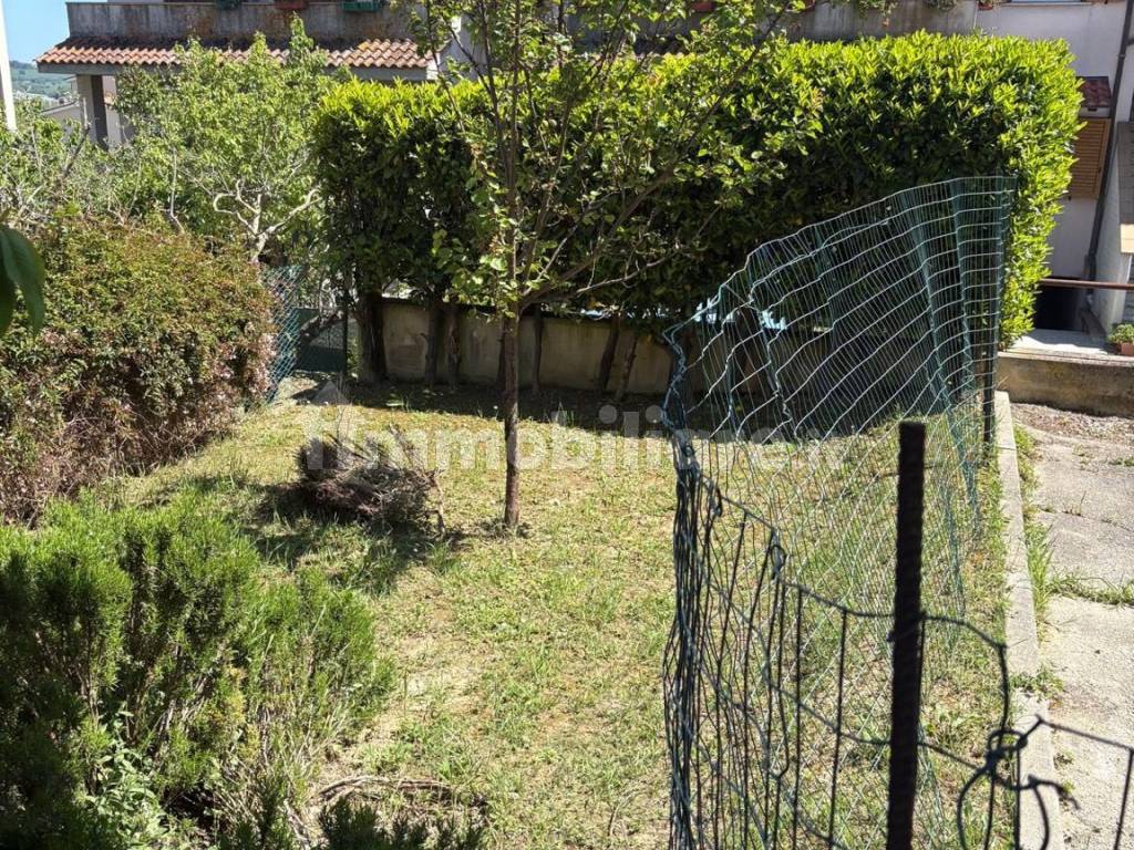 Giardino