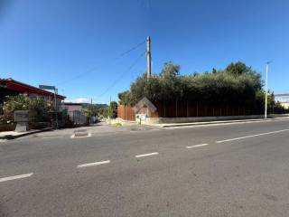 Zona