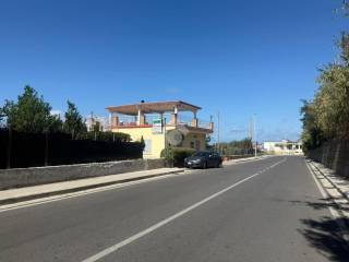 Zona