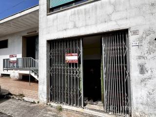 Ingresso