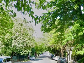 Zona