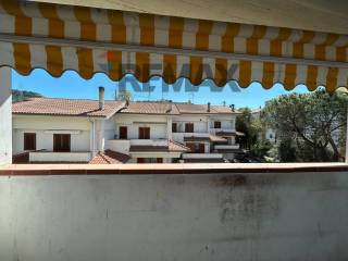 Vista