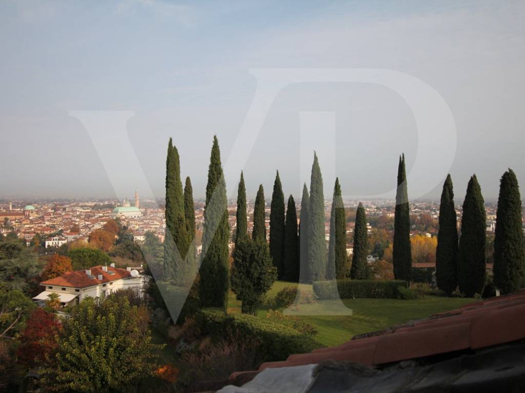 Vista