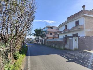 Zona