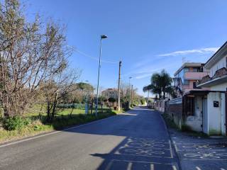 Zona
