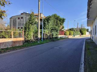 Zona