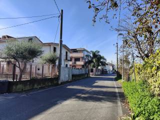 Zona