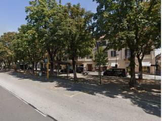 Zona