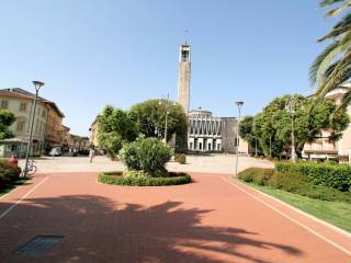 Zona