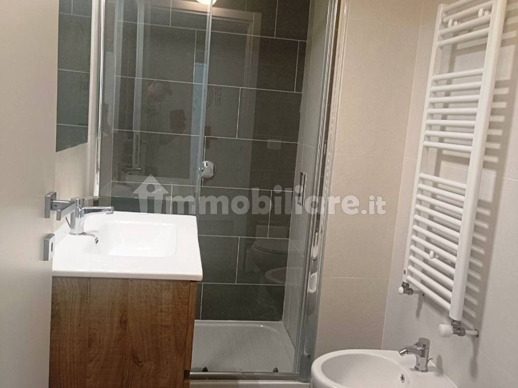 Stanze singole e doppie in Mirafiori Sud, foto 49 di 121