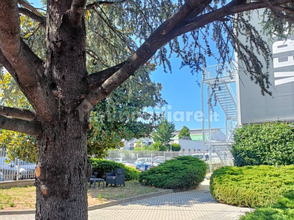 Stanze singole e doppie in Mirafiori Sud, foto 63 di 121
