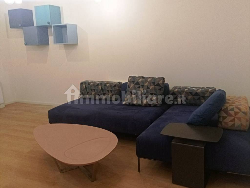 Stanze singole e doppie in Mirafiori Sud, foto 64 di 121