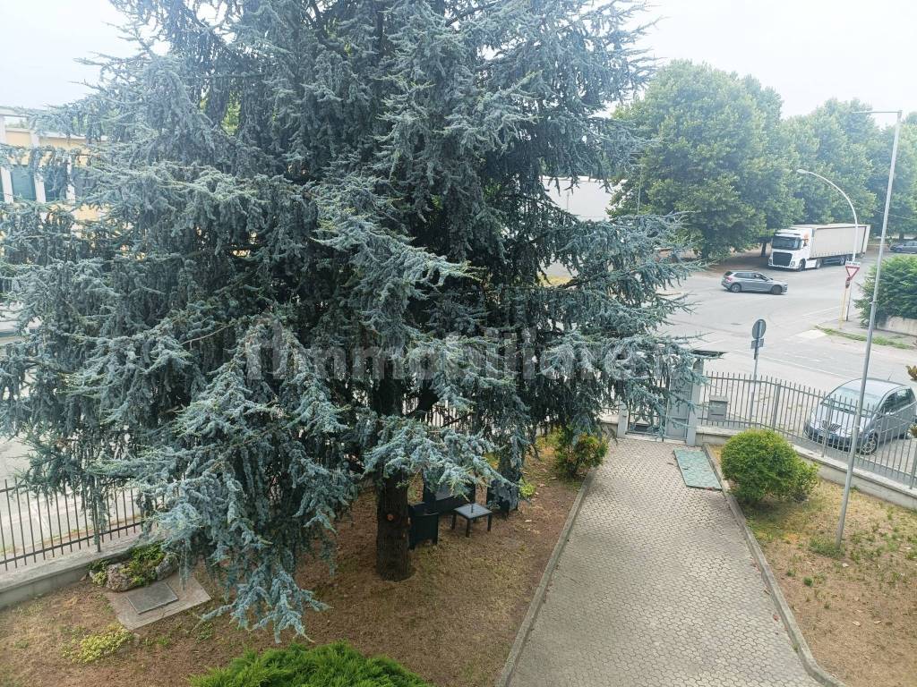 Stanze singole e doppie in Mirafiori Sud, foto 68 di 121