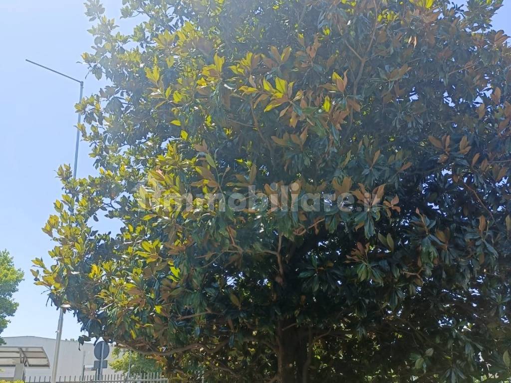 Stanze singole e doppie in Mirafiori Sud, foto 72 di 121