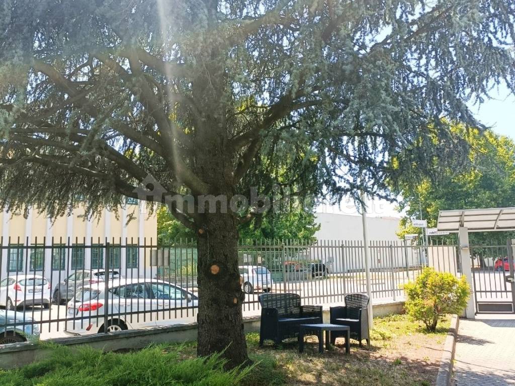 Stanze singole e doppie in Mirafiori Sud, foto 74 di 121
