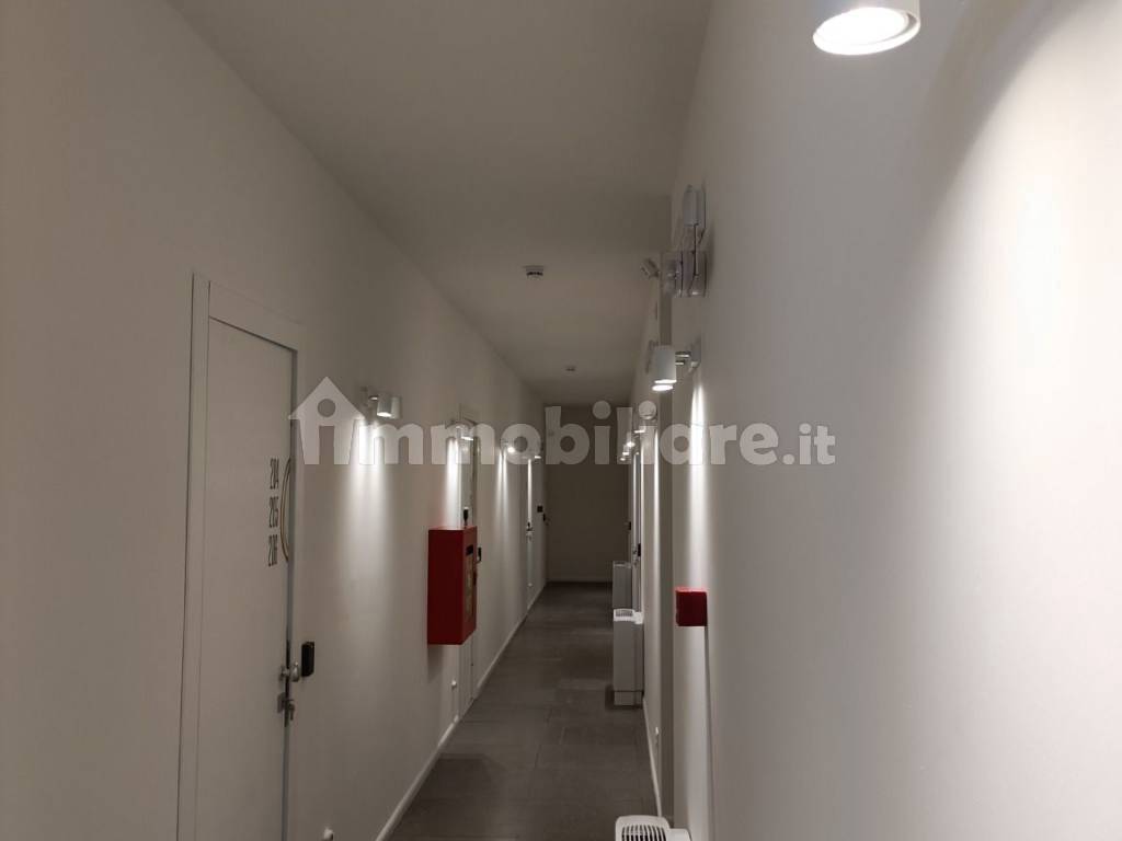 Stanze singole e doppie in Mirafiori Sud, foto 110 di 121