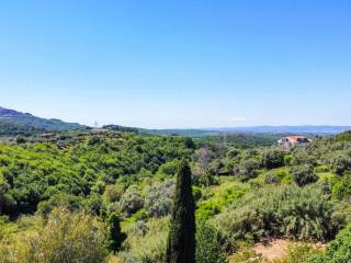 Vista