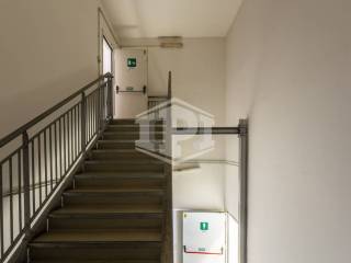 Scala