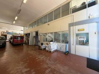 Magazzino