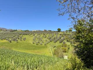 Vista