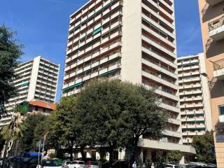 Zona
