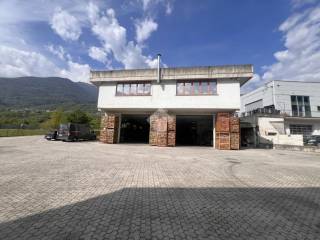Zona