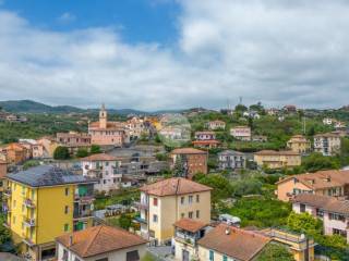 Vista