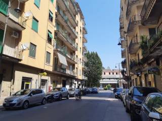 Zona