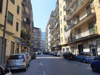 Zona