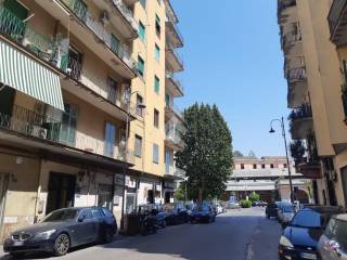 Zona
