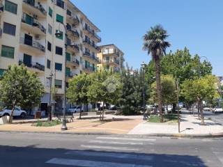 Zona