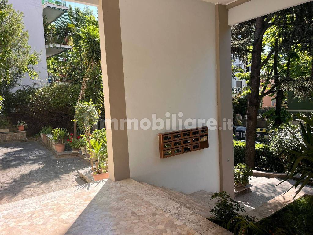 Ingresso