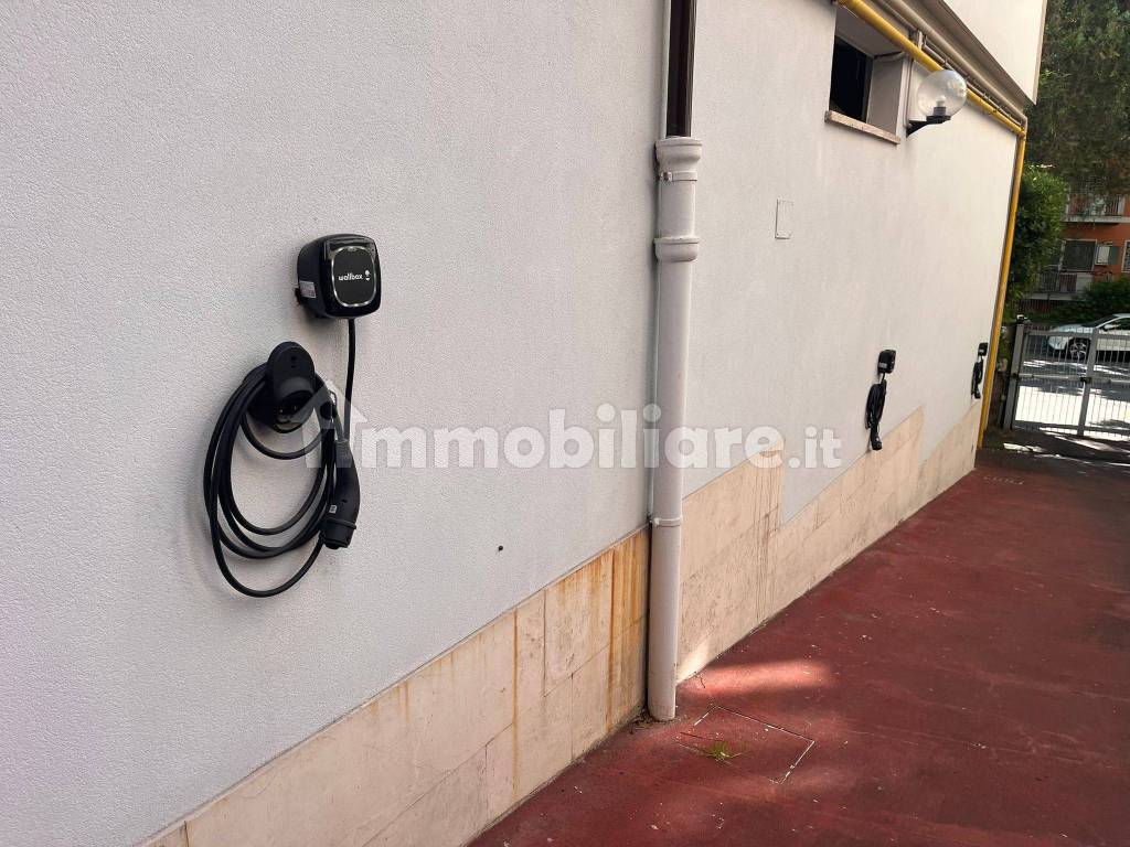 Ingresso