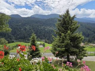 Vista
