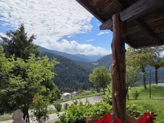 Vista