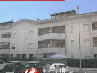Zona