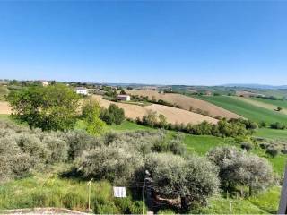 Vista