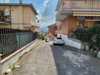 Zona