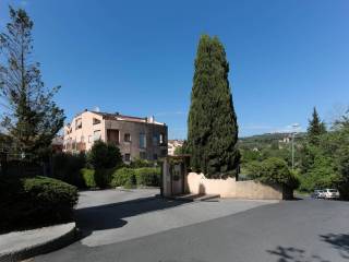 Zona