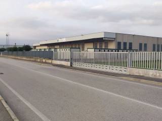 Zona