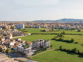 Vista